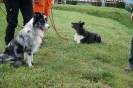 22-25.08.2022 r.   WSSGR szkolenie psy poszukiwania (11)