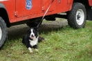22-25.08.2022 r.   WSSGR szkolenie psy poszukiwania (45)