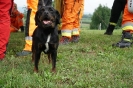 22-25.08.2022 r.   WSSGR szkolenie psy poszukiwania (6)
