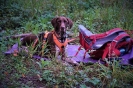 22-25.08.2022 r.   WSSGR szkolenie psy poszukiwania (74)