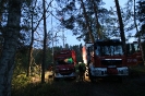 9-11.05.2023 TZP pożary lasów Puszcza Niepołomice (3)